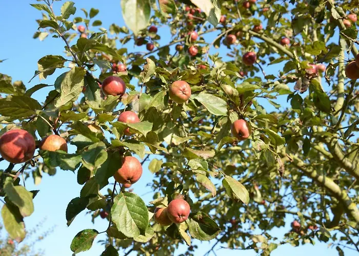 Holiday home O Loft *